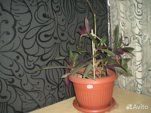 Подставка под комнатные цветы Подставка под комнатные цветы