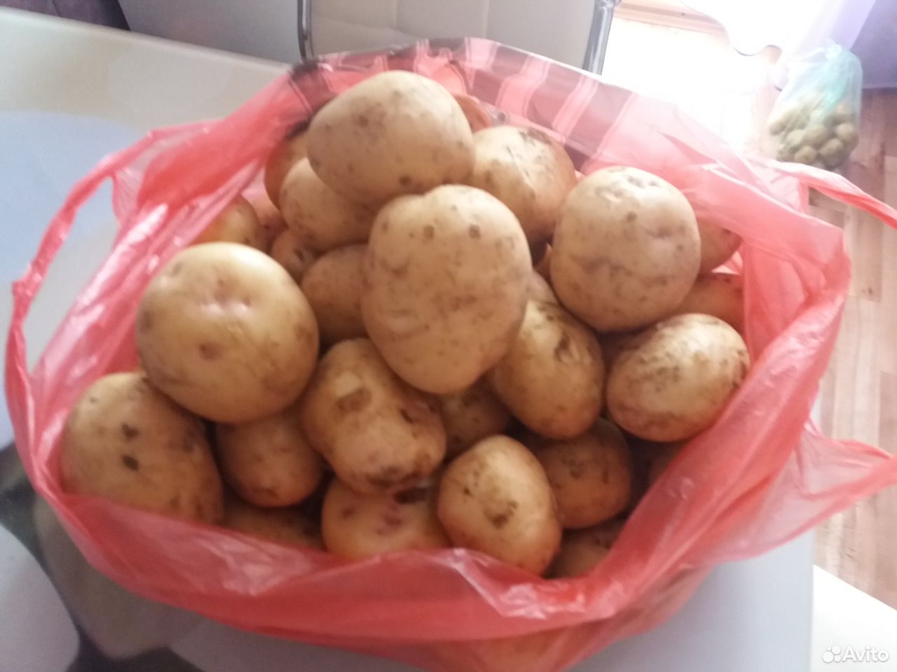 Молодая дачная картошка купить на Зозу.ру - фотография № 1