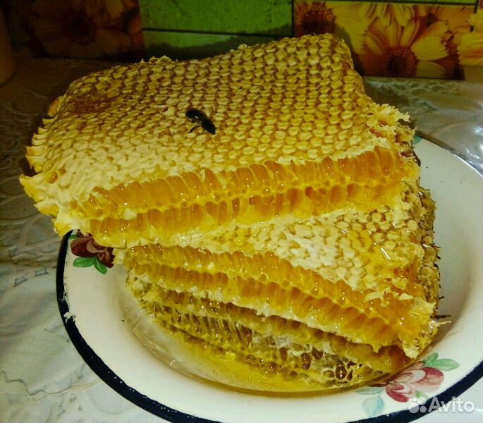 Мёд цветочный, сотовый купить на Зозу.ру - фотография № 4