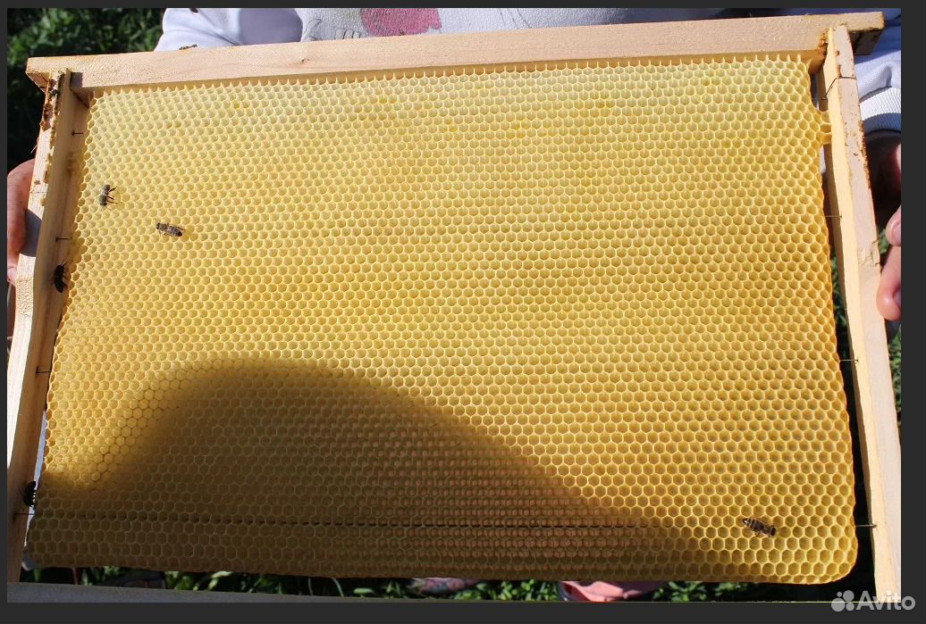 Пчелиные рамки для ульев купить на Зозу.ру - фотография № 3
