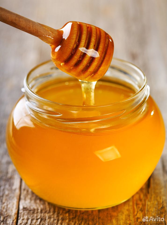 Мед свежего урожая купить на Зозу.ру - фотография № 1