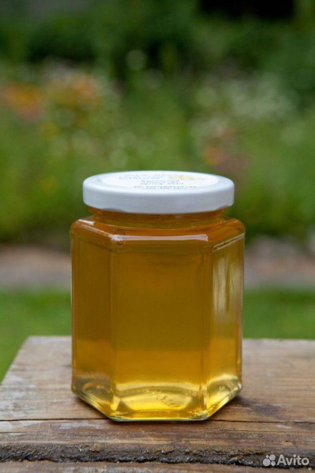 Продам белый мед купить на Зозу.ру - фотография № 1