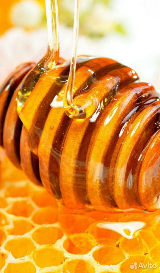 Принемаю заявки на свежий мёд сбор урожая 2020 купить на Зозу.ру - фотография № 2