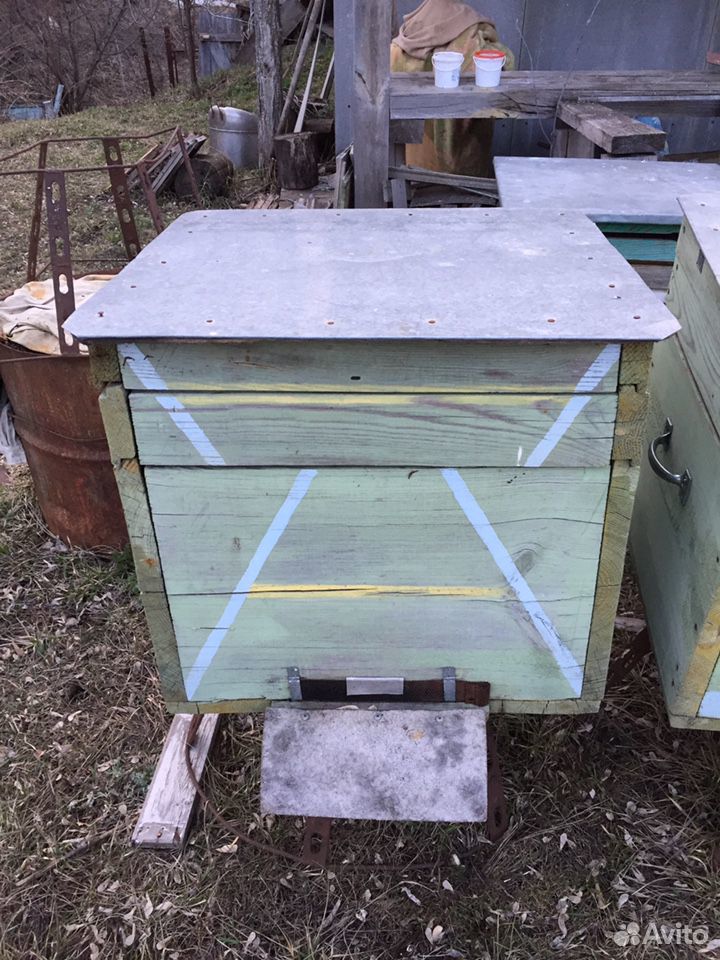 Продаю семьи пчёл с ульями и прочей утварью купить на Зозу.ру - фотография № 3