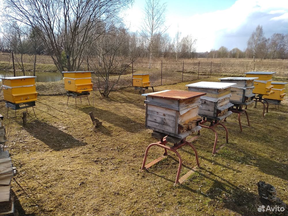 Домики, пчелы, ульи купить на Зозу.ру - фотография № 1