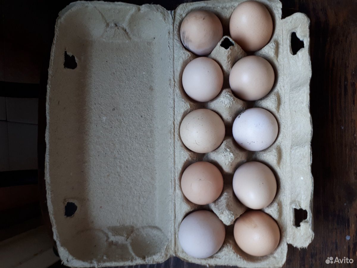 Вкусные яйца куриные домашние купить на Зозу.ру - фотография № 1