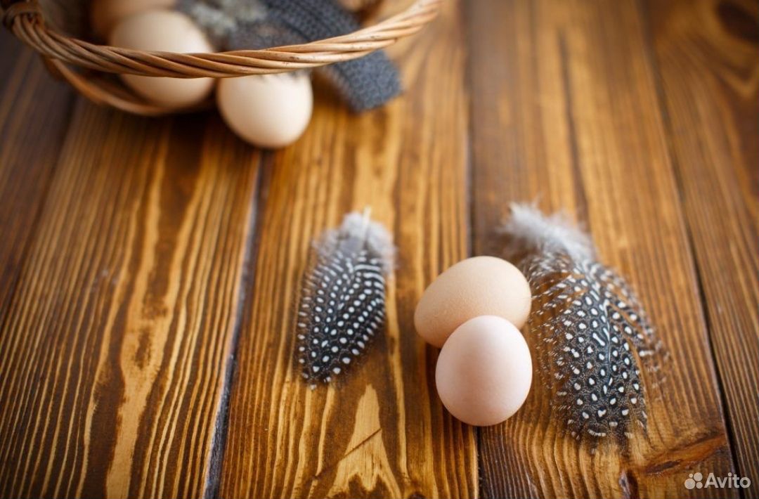 Цесариные яйца купить на Зозу.ру - фотография № 1