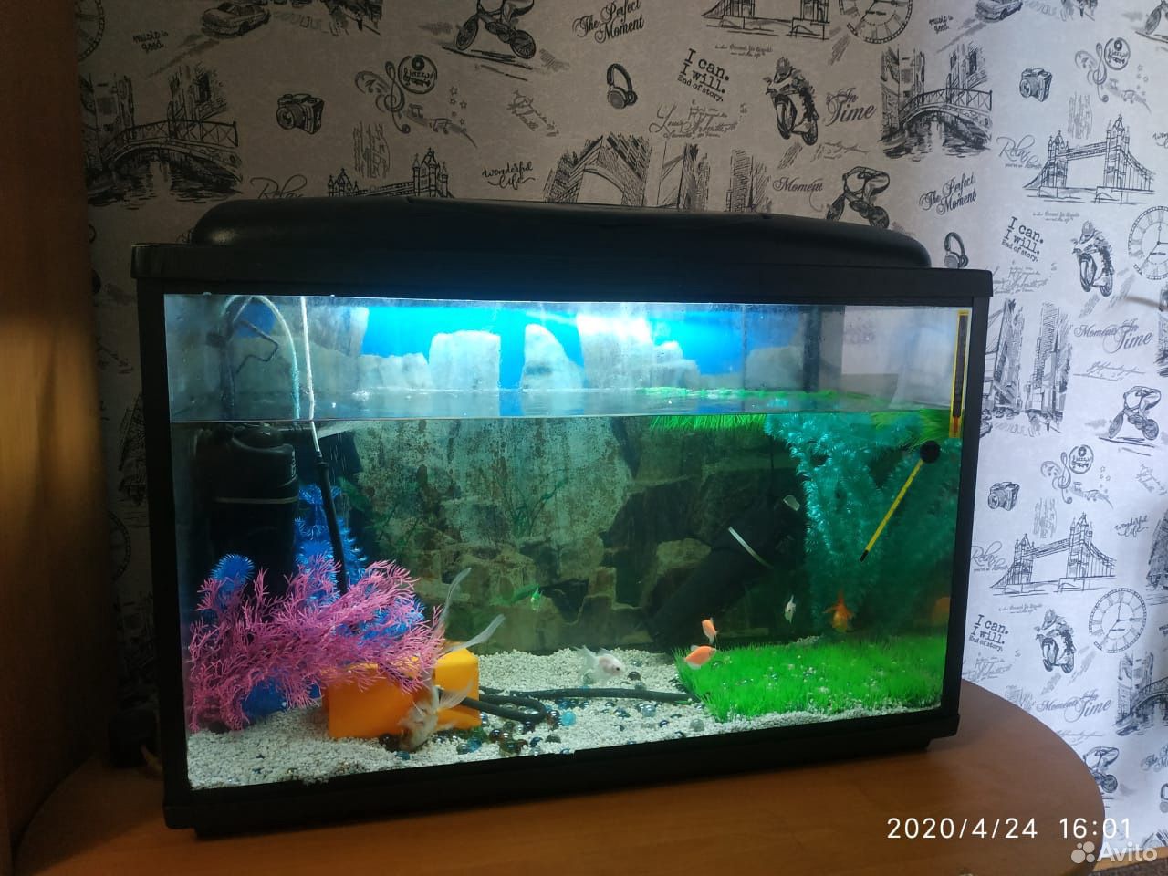 Украшение для аквариума и аквариумы 2 купить на Зозу.ру - фотография № 1