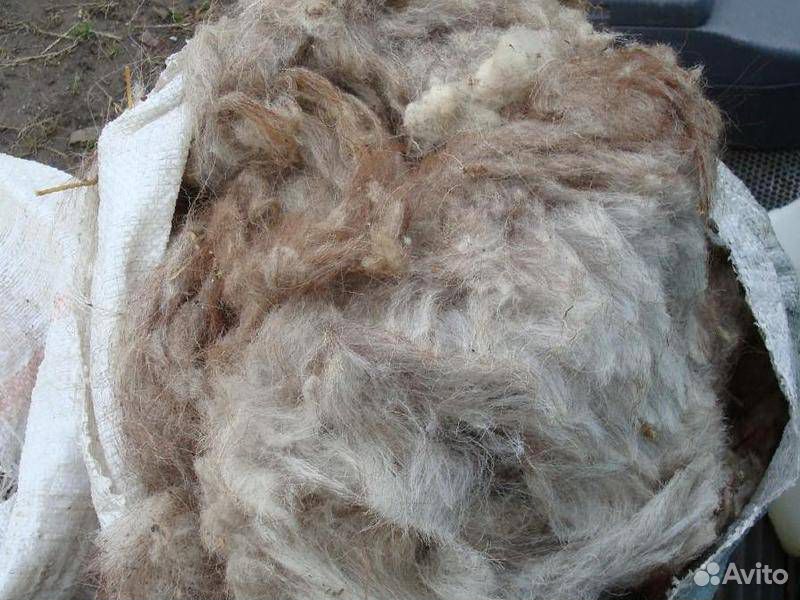 Продам овечью шерсть, немытую, чёрную и белую(в ос купить на Зозу.ру - фотография № 1