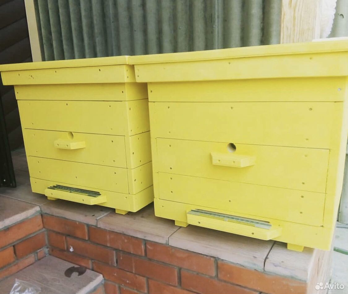 Пчёлы (с ульями) купить на Зозу.ру - фотография № 4