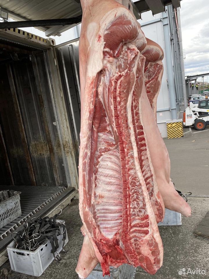 Свежее Мясо свинина купить на Зозу.ру - фотография № 2
