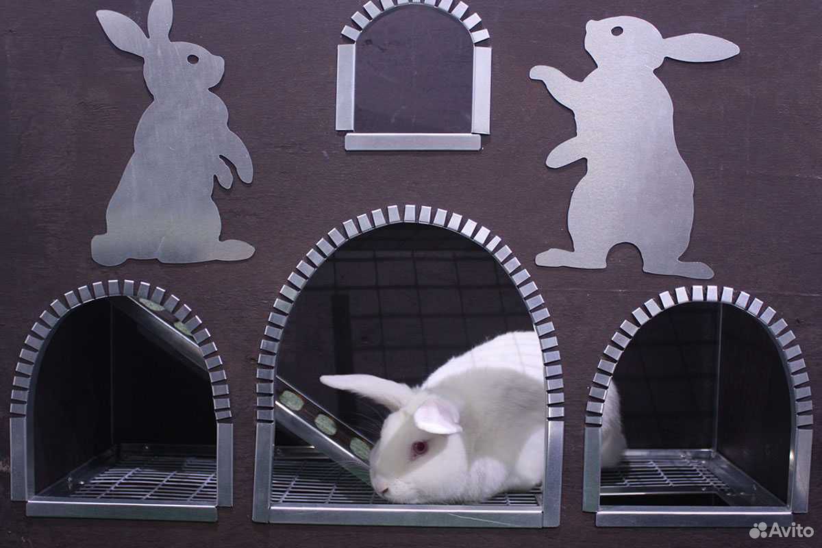 Лазелка для декоративных кроликов "замок" купить на Зозу.ру - фотография № 4