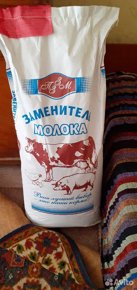 Сухое молоко купить на Зозу.ру - фотография № 1