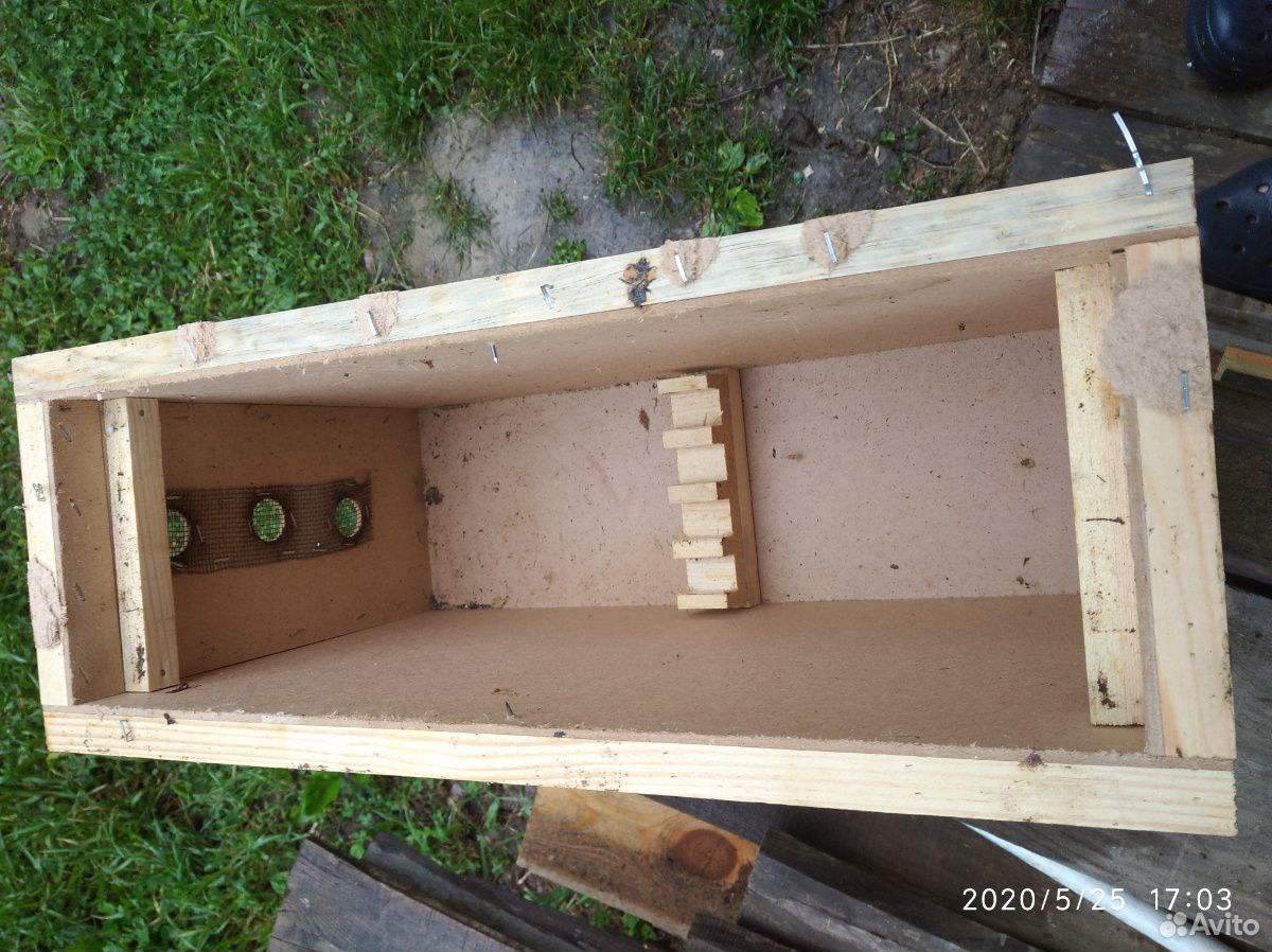 Ящик (тара) для пчелопакетов, Ловушка для роёв купить на Зозу.ру - фотография № 4