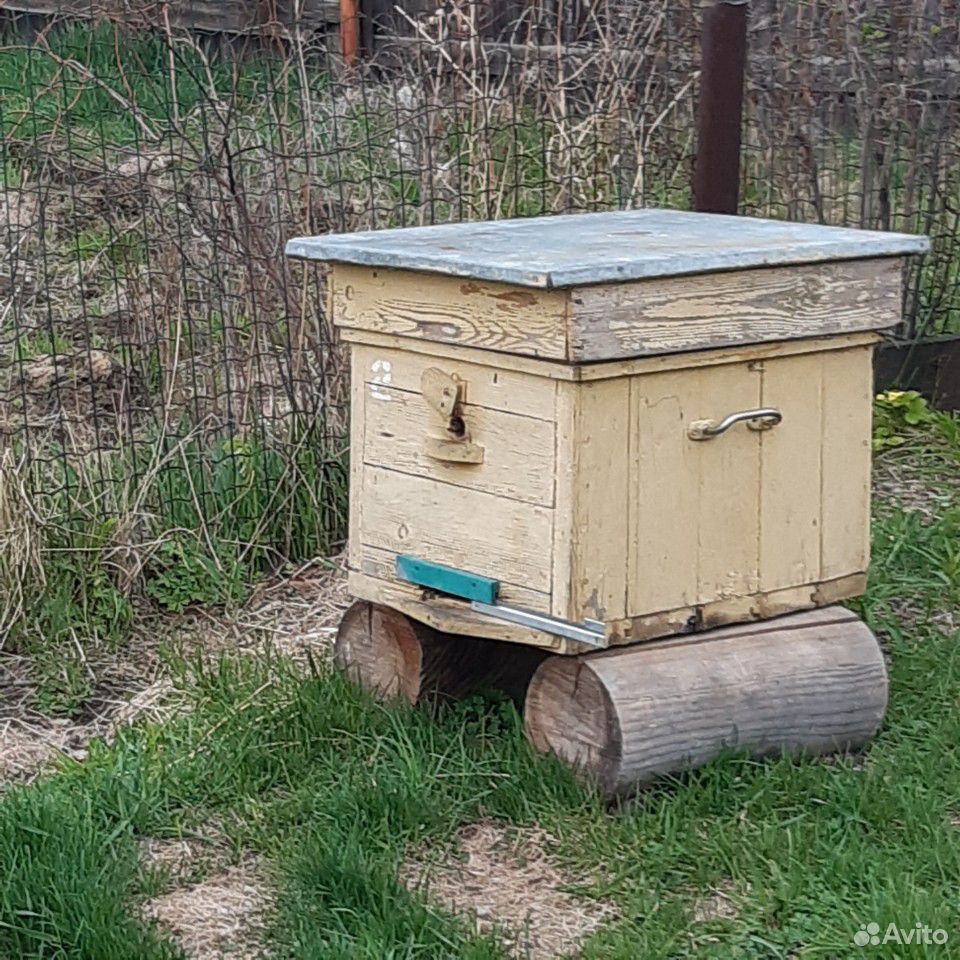 Улей с пчёлами купить на Зозу.ру - фотография № 4