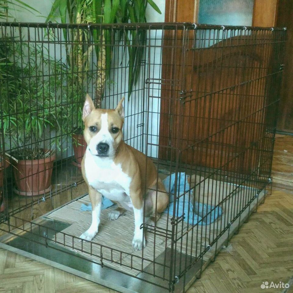Собачья будка купить на Зозу.ру - фотография № 2