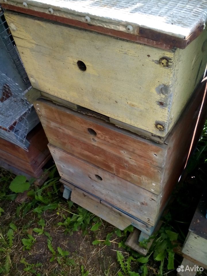 Для пчеловодства купить на Зозу.ру - фотография № 1