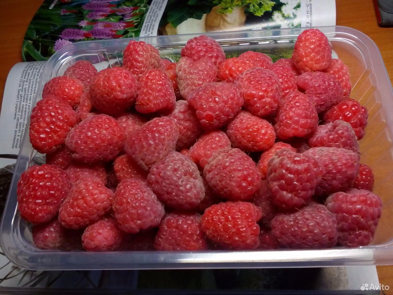 Продам ягоду малины,саженцы клубники купить на Зозу.ру - фотография № 1