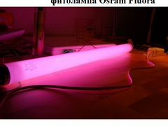 Люминесцентные фитолампа osram (15W, 30W)