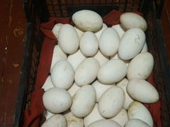 Продам яйца гусиные для инкубации