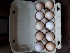 Вкусные яйца куриные домашние