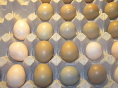 Фазаньи яйца