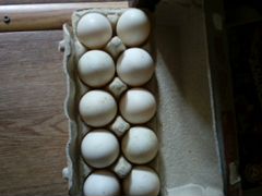 Яйцо инкубационное утки