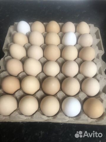 Яйцо домашнее куриное