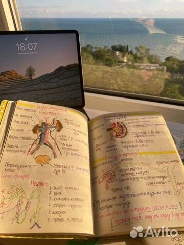 Репетитор по биологии