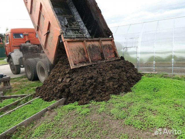 Навоз коровий на камаз и ЗИЛ