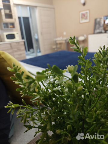 

Квартира-студия, 28 м², 2 кровати