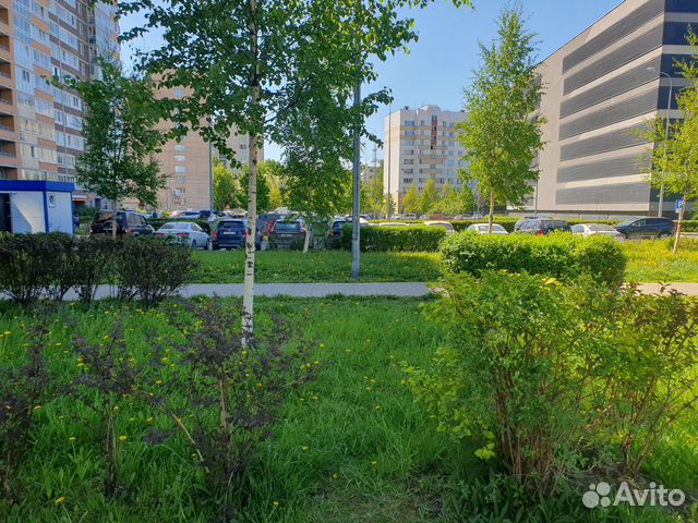 

Квартира-студия, 24,1 м², 1 кровать