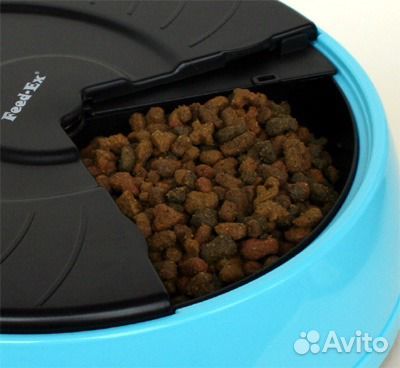 Автоматическая кормушка Автоматическая кормушка
