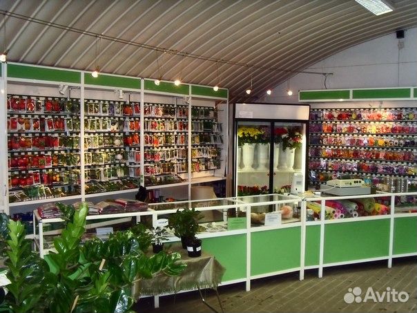 Семинария Магазин Семян