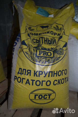 Пшеница,овёс,ячмень купить на Зозу.ру - фотография № 3