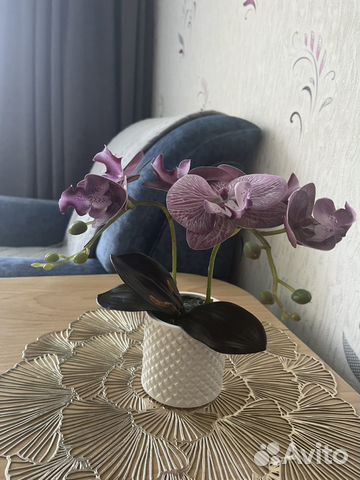 

3-к. квартира, 51,1 м², 4 кровати