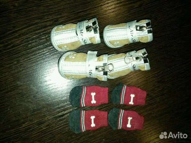 Обувь для собак