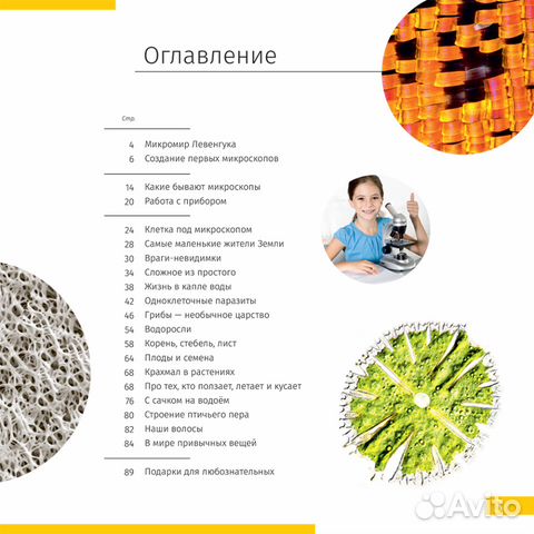 Книга знаний «Невидимый мир» Книга знаний «Невидимый мир»