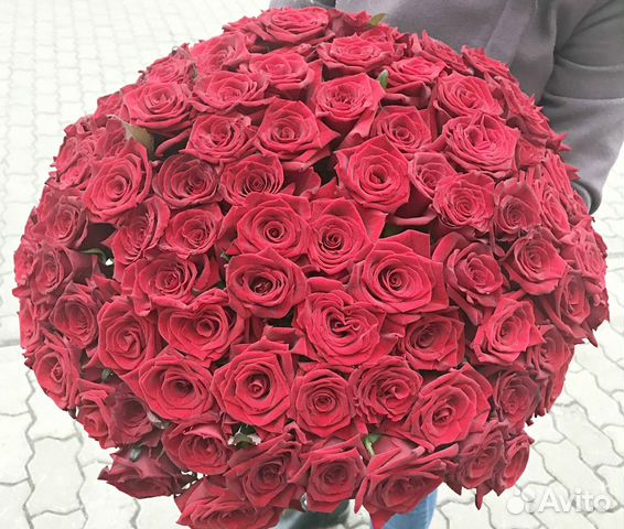 Купить розы в ставрополе. Купить 51 розу за 1500 руб.