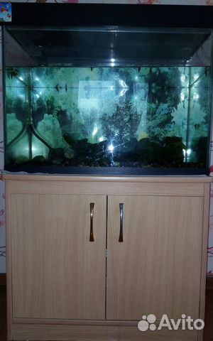 Продается аквариум 150 л купить на Зозу.ру - фотография № 1