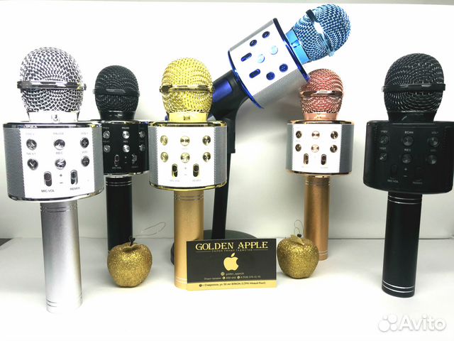 Беспроводной караоке микрофон с колонкой WS-858