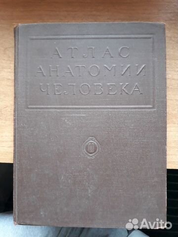 Атлас анатомии человека ll том