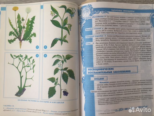 Большая энциклопедия народной медицины Большая энциклопедия народной медицины