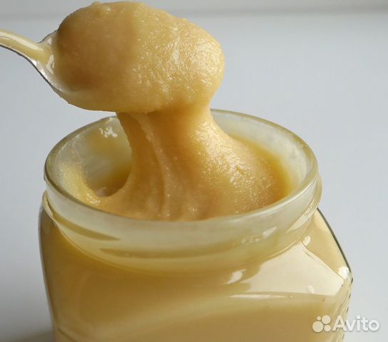 Мёд донниковый, проверен в лаборатории