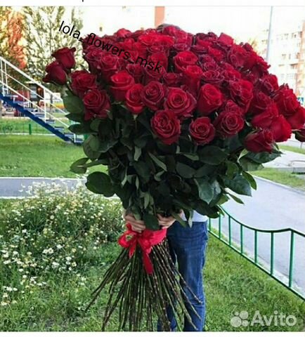 Фото Розы Авито