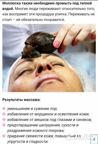 Улитки для массажа купить на Зозу.ру - фотография № 5
