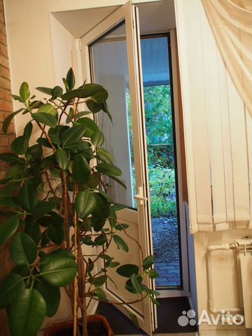 2-к квартира, 80 м², 1/3 эт.