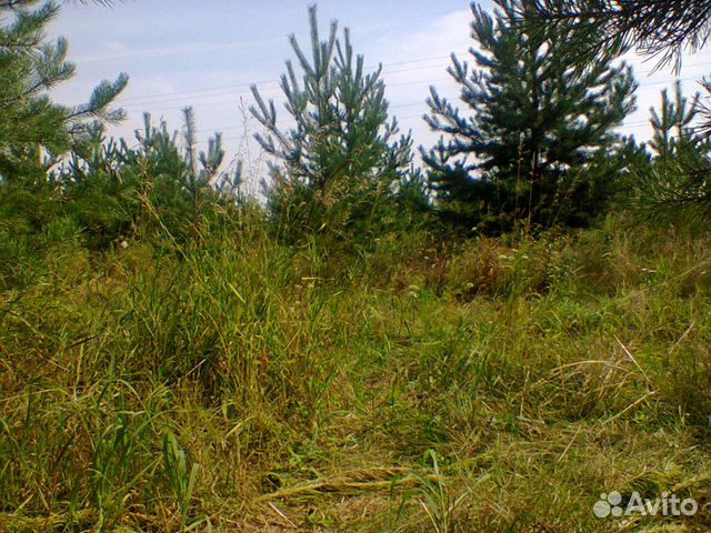 Участок 8 сот. (ИЖС)