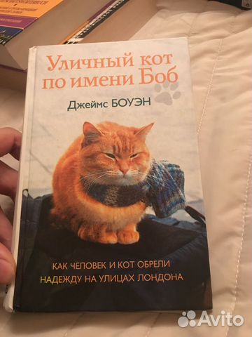 Джеймс боуэн уличный кот по имени ябоб Джеймс боуэн уличный кот по имени ябоб