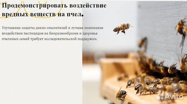 Купив себе улей пчёл, вы продлеваете свою жизнь купить на Зозу.ру - фотография № 7
